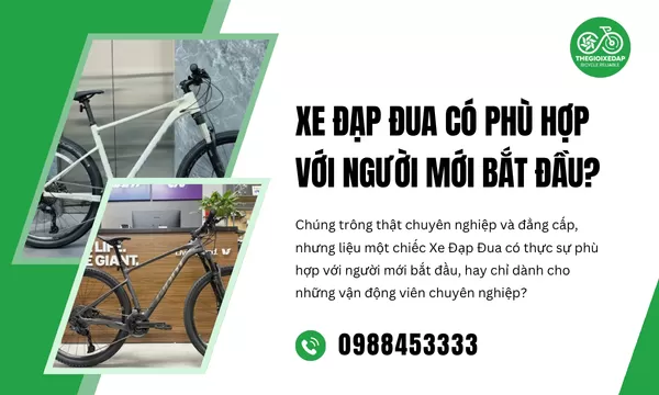 Xe Đạp Đua Có Phù Hợp Với Người Mới Bắt Đầu?