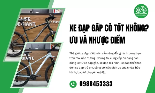 Xe Đạp Gấp Có Tốt Không? Ưu Và Nhược Điểm