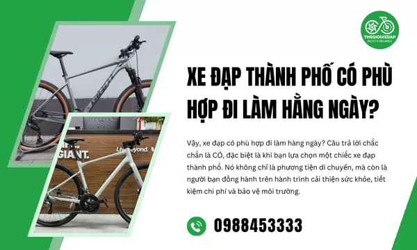 Xe Đạp Thành Phố Có Phù Hợp Đi Làm Hằng Ngày?