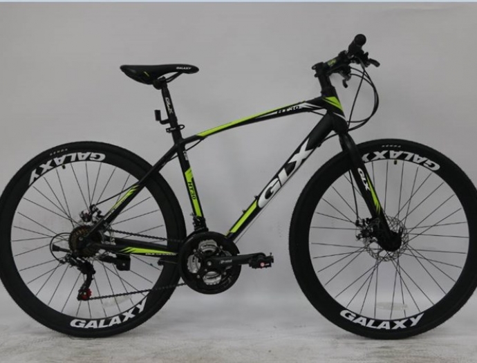 Xe đạp Galaxy LP300 - 2022