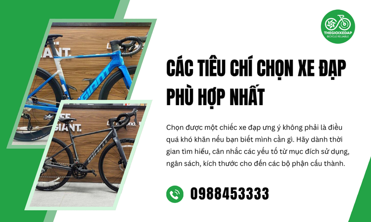 Hành Trình Tìm Kiếm Chiếc Xe Đạp Lý Tưởng