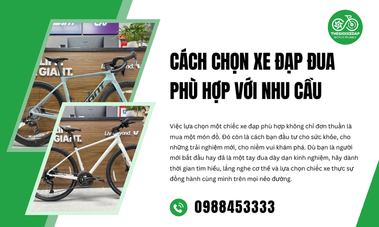 Cách Chọn Xe Đạp Đua Phù Hợp Với Nhu Cầu