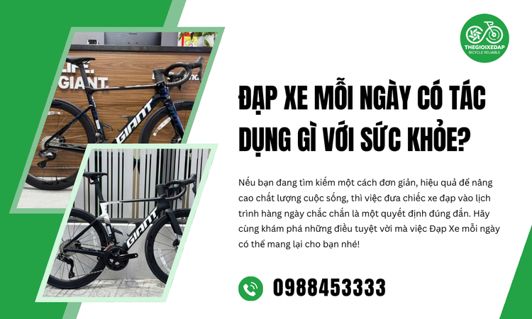 Đạp Xe Mỗi Ngày Có Tác Dụng Gì Với Sức Khỏe?