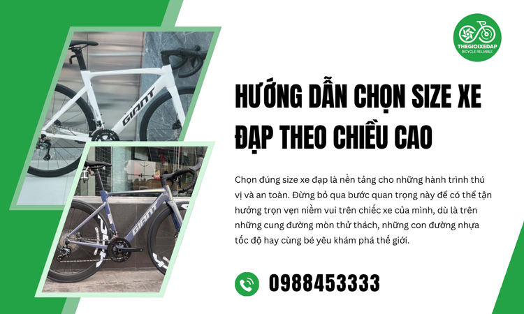 Hướng Dẫn Chọn Size Xe Đạp Theo Chiều Cao