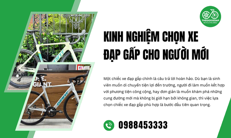 Kinh Nghiệm Chọn Xe Đạp Gấp Cho Người Mới
