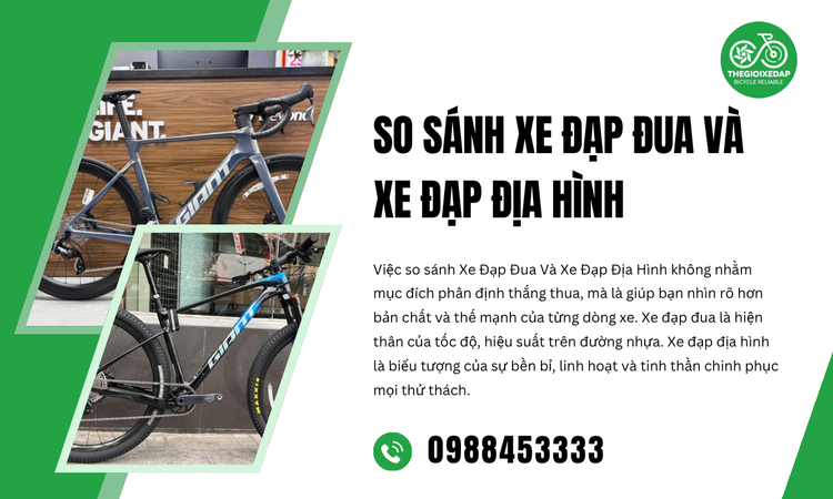 So Sánh Xe Đạp Đua Và Xe Đạp Địa Hình