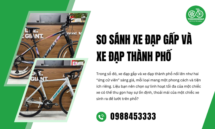 Hiểu Rõ Về Xe Đạp Gấp Và Xe Đạp Thành Phố