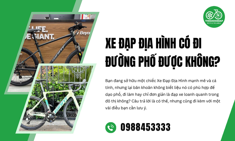 Xe Đạp Địa Hình Có Đi Đường Phố Được Không?