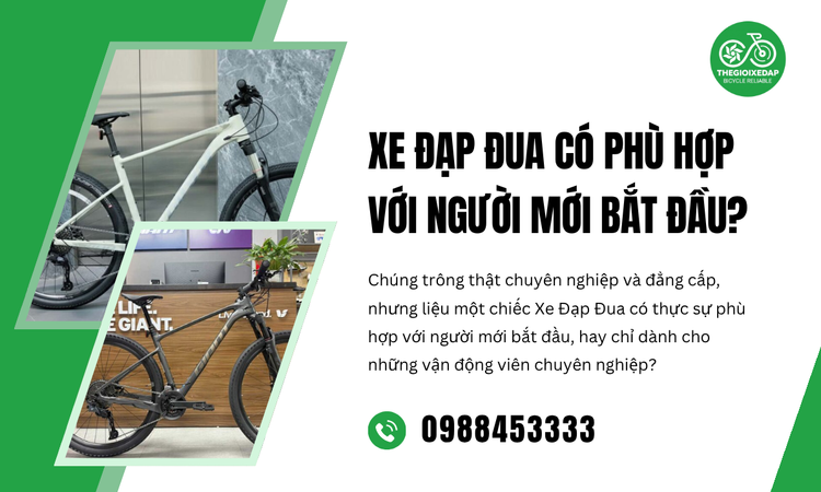 Xe Đạp Đua Có Phù Hợp Với Người Mới Bắt Đầu?