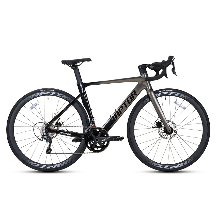 Xe đạp đua Raptor Taka 1 - Bánh 700C