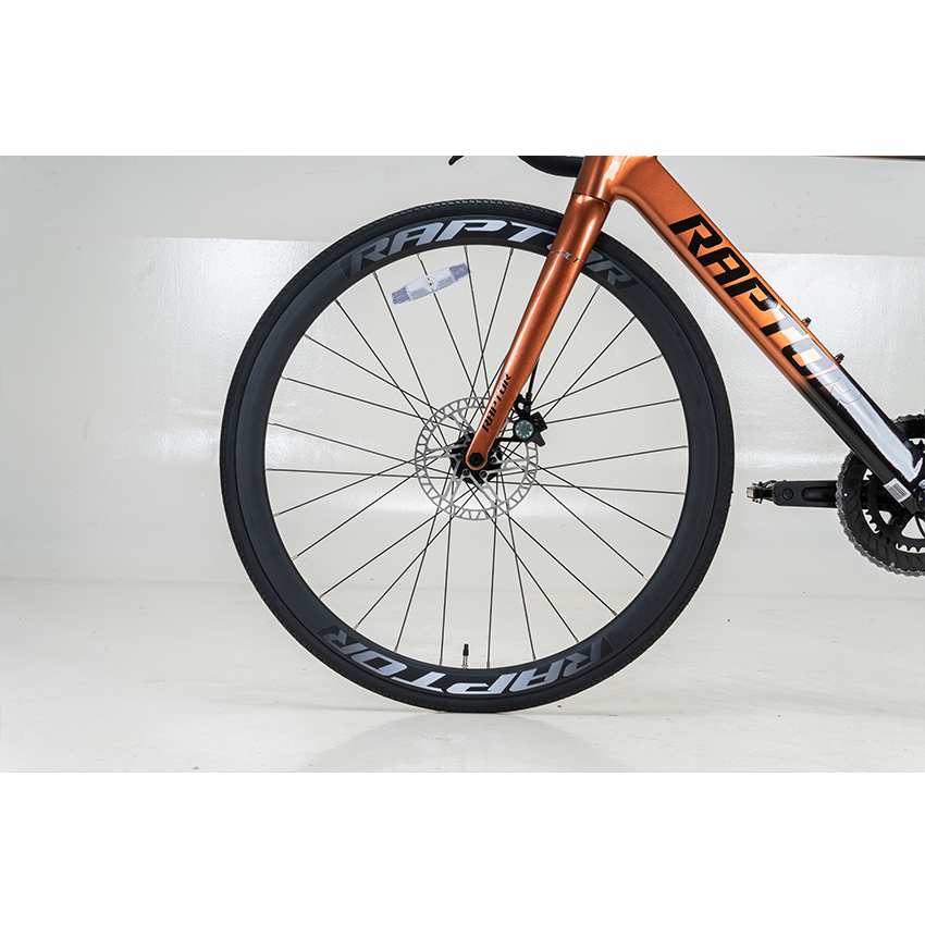 Xe đạp đua Raptor Taka 2 - Bánh 700C