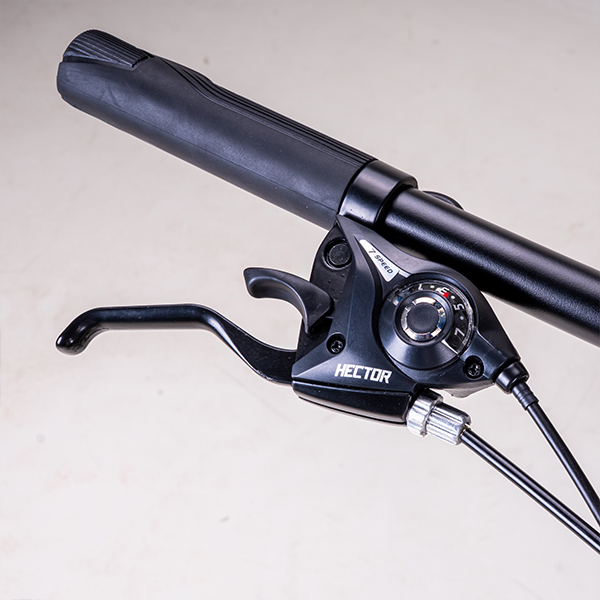 Xe đạp đường phố Hector Velo bánh 700C