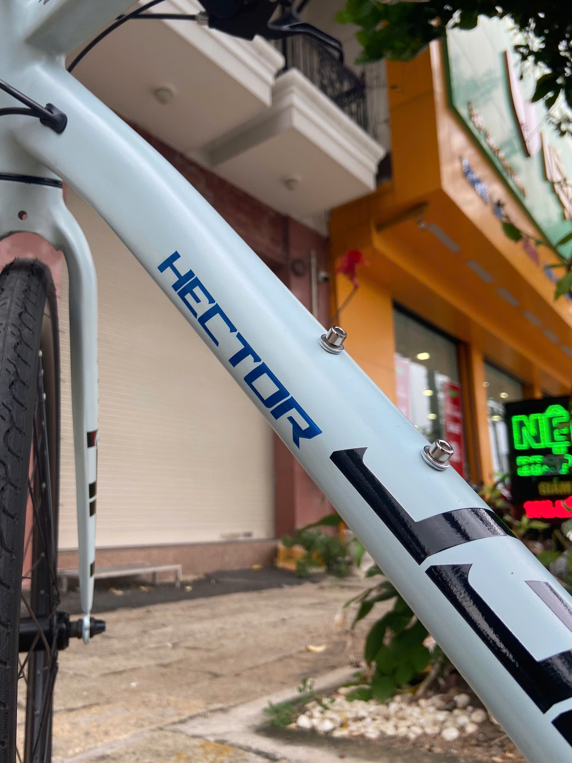 Xe đạp đường phố Hector Zeus - Bánh 700C