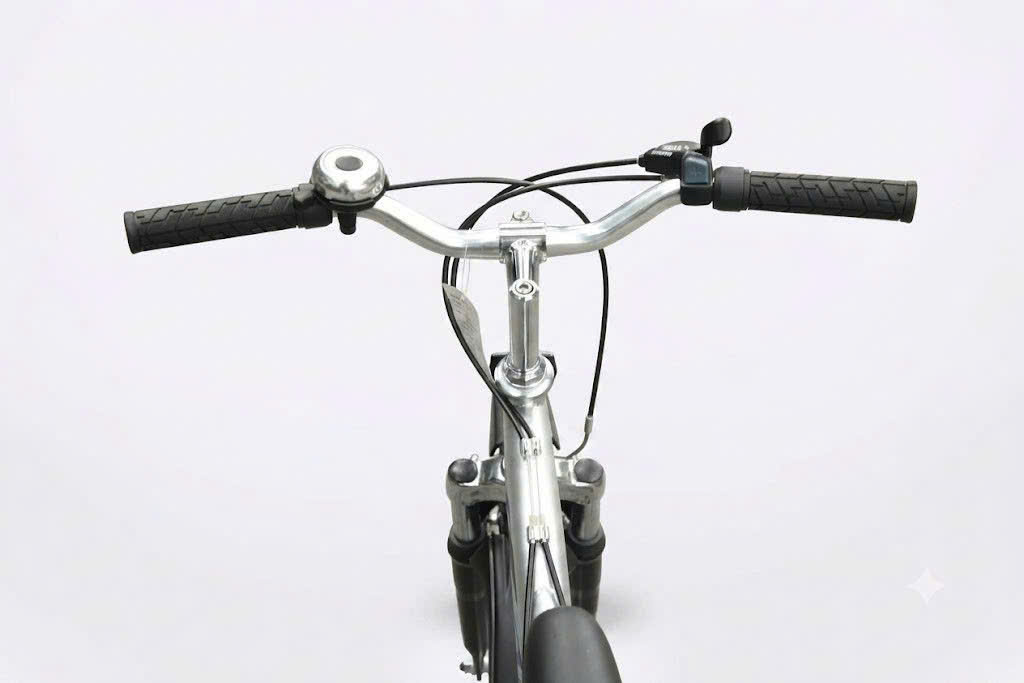 Xe đạp trẻ em Asama SUS 2001-Bánh 20 Inches