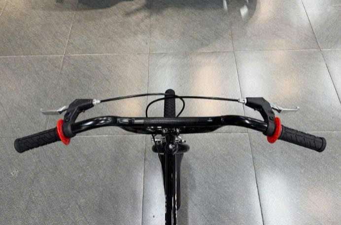 Xe đạp trẻ em Asama AMT01 - Bánh 20 Inches