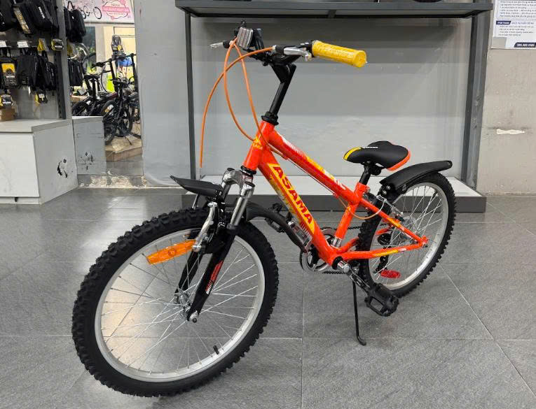 Xe đạp trẻ em Asama KZB2001 - Bánh 20 Inches