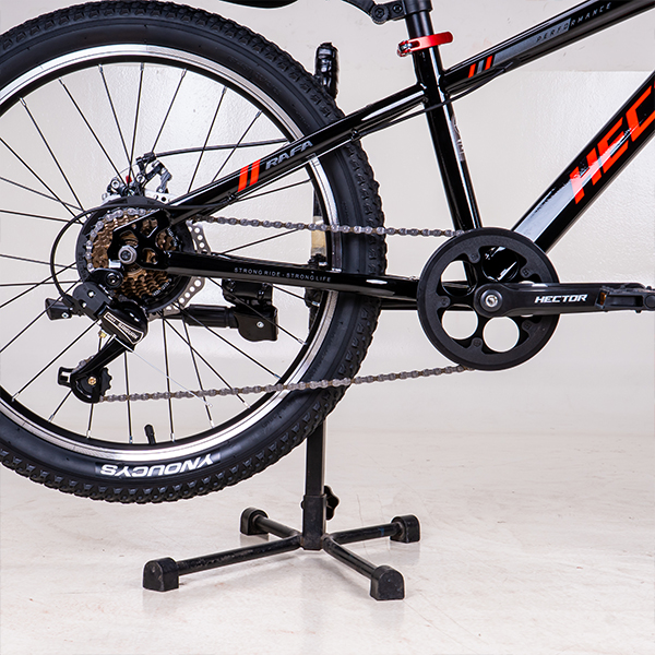 Xe đạp trẻ em Hector Rafa 3 bánh 22 inches