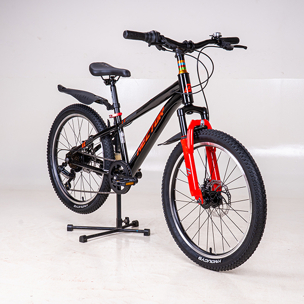 Xe đạp trẻ em Hector Rafa 3 bánh 22 inches