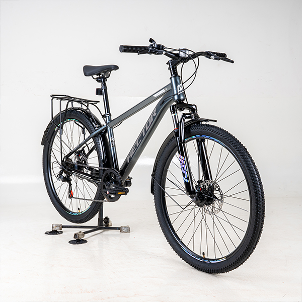 Xe đạp địa hình Hector Strong bánh 24 inches